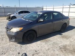 Salvage cars for sale from Copart Lumberton, NC: 2011 Toyota Corolla Base