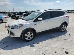 2016 Ford Escape SE en venta en Arcadia, FL