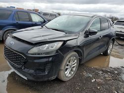 Ford Escape SE salvage cars for sale: 2020 Ford Escape SE