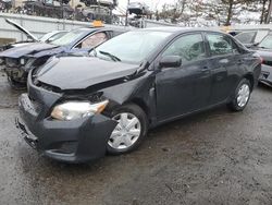 Toyota salvage cars for sale: 2009 Toyota Corolla Base