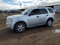 Salvage cars for sale from Copart Phoenix, AZ: 2011 Ford Escape XLT