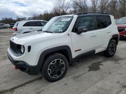 Salvage cars for sale at Ellwood City, PA auction: 2017 Jeep Renegade Trailhawk