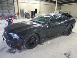 Salvage cars for sale from Copart Hampton, VA: 2014 Ford Mustang
