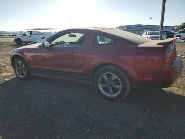 2006 Ford Mustang