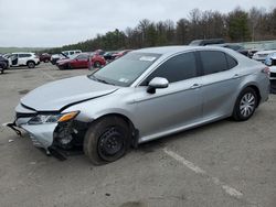 Salvage cars for sale from Copart Brookhaven, NY: 2020 Toyota Camry LE