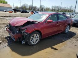 Salvage cars for sale at Columbus, OH auction: 2014 Lexus ES 350