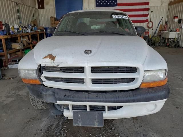 2001 Dodge Dakota