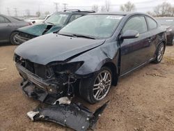 Salvage cars for sale at Elgin, IL auction: 2006 Scion TC