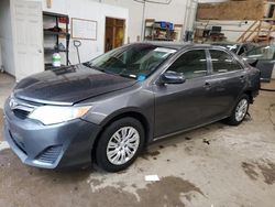 Salvage cars for sale at Ham Lake, MN auction: 2013 Toyota Camry L