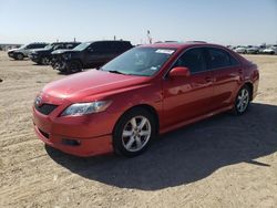 Salvage cars for sale at Amarillo, TX auction: 2009 Toyota Camry Base