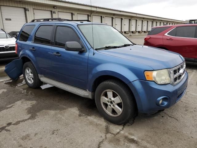 2010 Ford Escape XLT