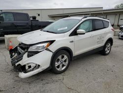 2016 Ford Escape SE en venta en Louisville, KY