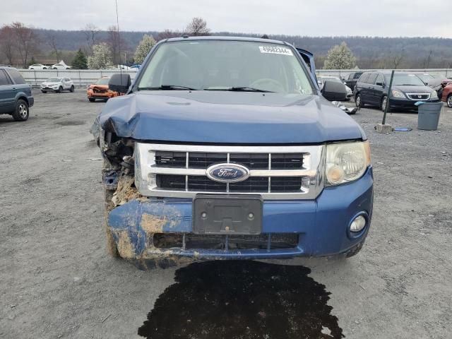 2008 Ford Escape XLT