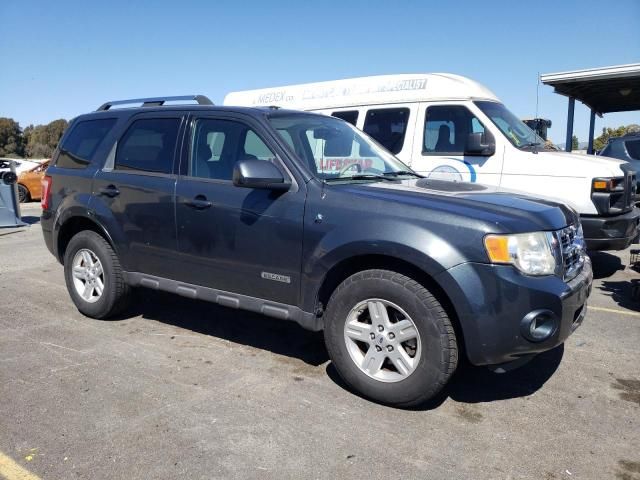 2008 Ford Escape HEV