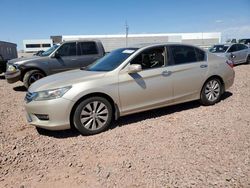 Honda Accord exl salvage cars for sale: 2013 Honda Accord EXL