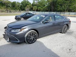 Salvage cars for sale at Fort Pierce, FL auction: 2024 Lexus ES 350 Base