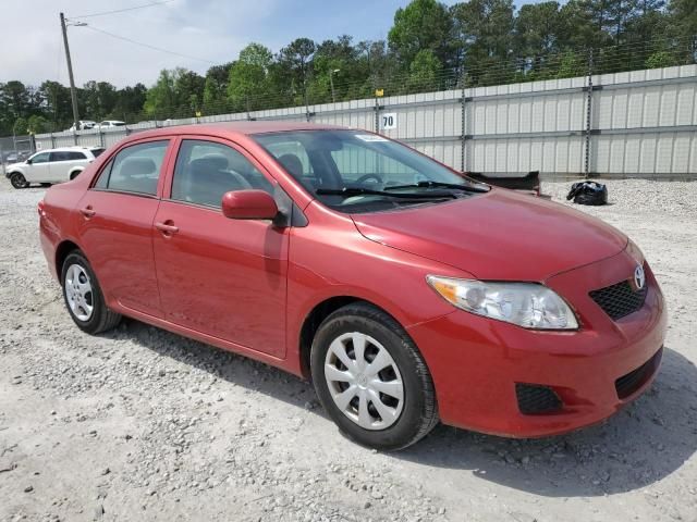 2010 Toyota Corolla Base