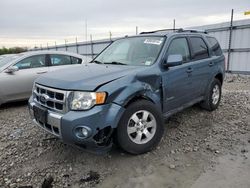 Ford Escape Hybrid salvage cars for sale: 2010 Ford Escape Hybrid