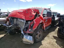 Salvage trucks for sale at Brighton, CO auction: 2021 Ford F450 Super Duty