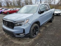 Honda salvage cars for sale: 2022 Honda Ridgeline Black Edition