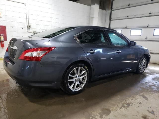 2009 Nissan Maxima S