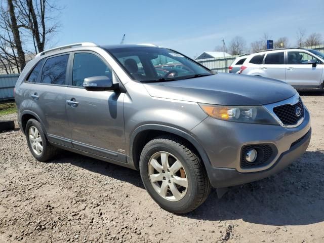 2011 KIA Sorento Base