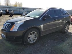 Salvage cars for sale at Arlington, WA auction: 2013 Cadillac SRX