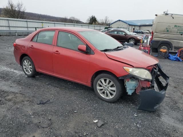 2010 Toyota Corolla Base