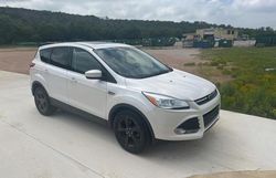 Salvage cars for sale from Copart New Braunfels, TX: 2014 Ford Escape SE