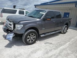 Salvage cars for sale at Arcadia, FL auction: 2014 Ford F150 Supercrew