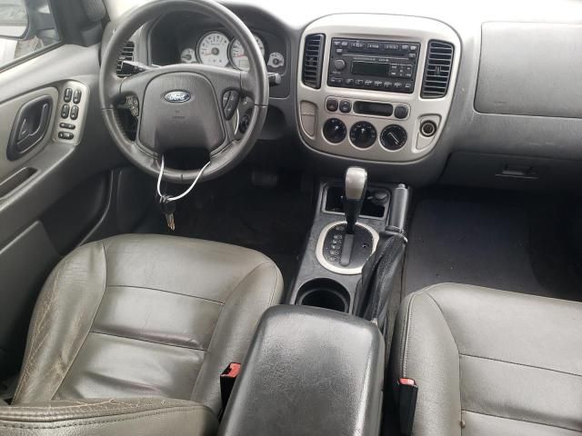 2007 Ford Escape XLT