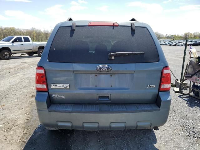 2010 Ford Escape XLT