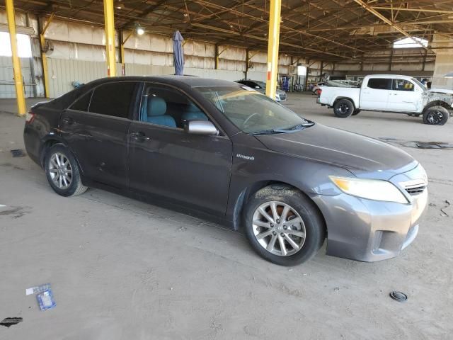 2010 Toyota Camry Hybrid