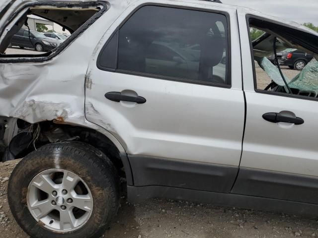 2007 Ford Escape XLT