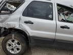 2007 Ford Escape XLT