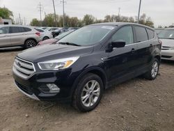 Salvage cars for sale at Columbus, OH auction: 2019 Ford Escape SE