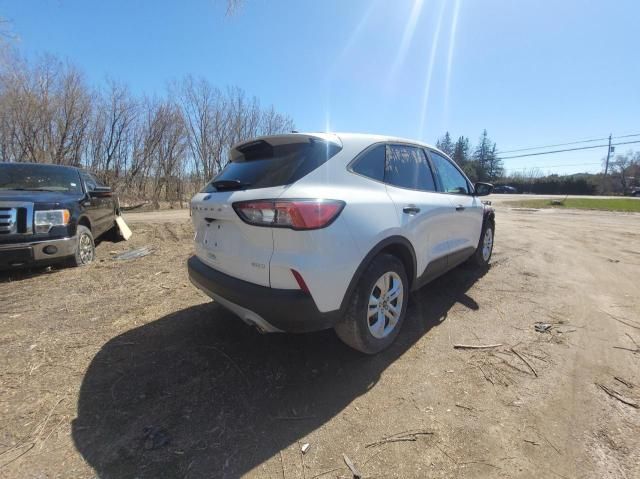 2020 Ford Escape S