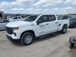 Salvage cars for sale at Harleyville, SC auction: 2022 Chevrolet Silverado C1500