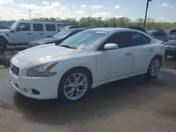 Salvage cars for sale from Copart Louisville, KY: 2009 Nissan Maxima S