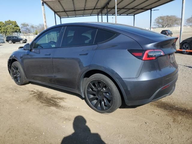 2020 Tesla Model Y