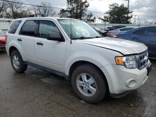 2010 Ford Escape XLT