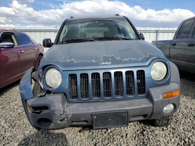 2002 Jeep Liberty Limited