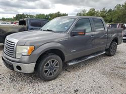 Salvage cars for sale from Copart Houston, TX: 2012 Ford F150 Supercrew