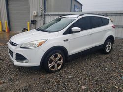 Salvage cars for sale from Copart Memphis, TN: 2016 Ford Escape SE