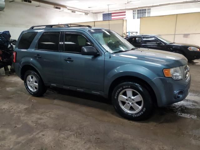 2011 Ford Escape XLT