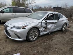 Salvage cars for sale at Baltimore, MD auction: 2019 Lexus ES 350