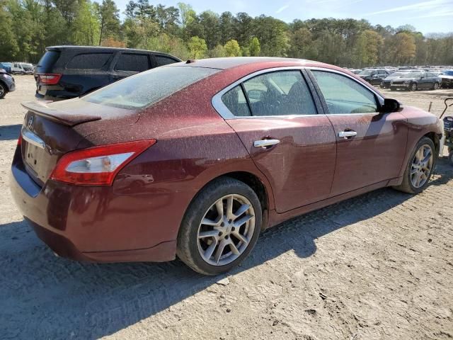 2010 Nissan Maxima S