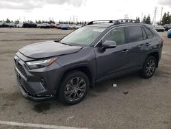 Vehiculos salvage en venta de Copart Rancho Cucamonga, CA: 2023 Toyota Rav4 XLE Premium