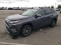 Salvage cars for sale at Rancho Cucamonga, CA auction: 2023 Toyota Rav4 XLE Premium