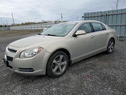 Salvage cars for sale from Copart Ottawa, ON: 2009 Chevrolet Malibu Hybrid